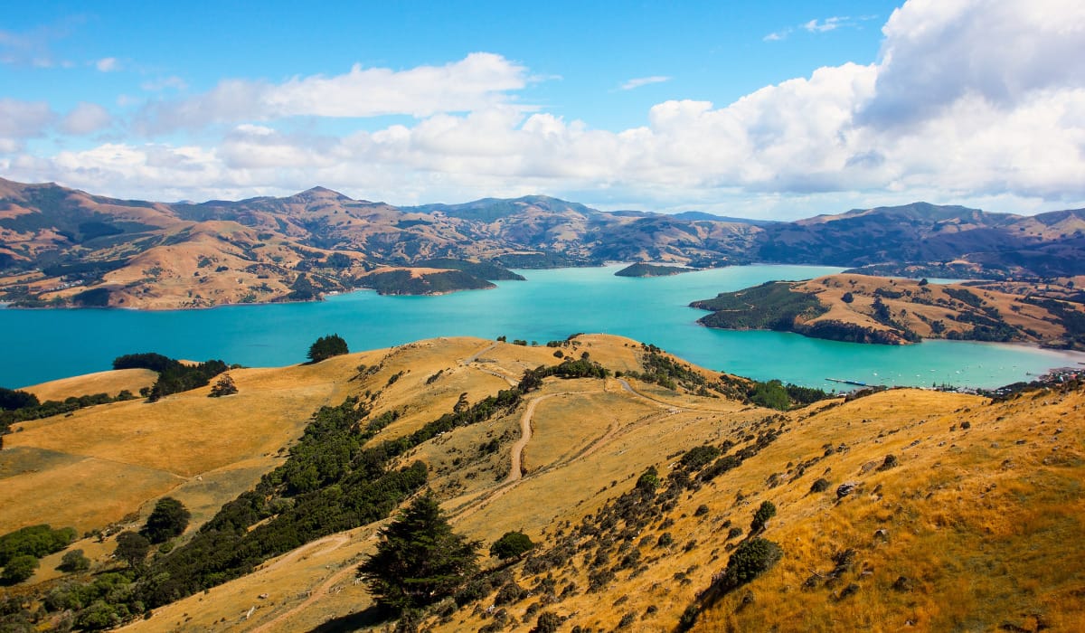 Visa đầu tư định cư New Zealand – Entrepreneur Resident Visa