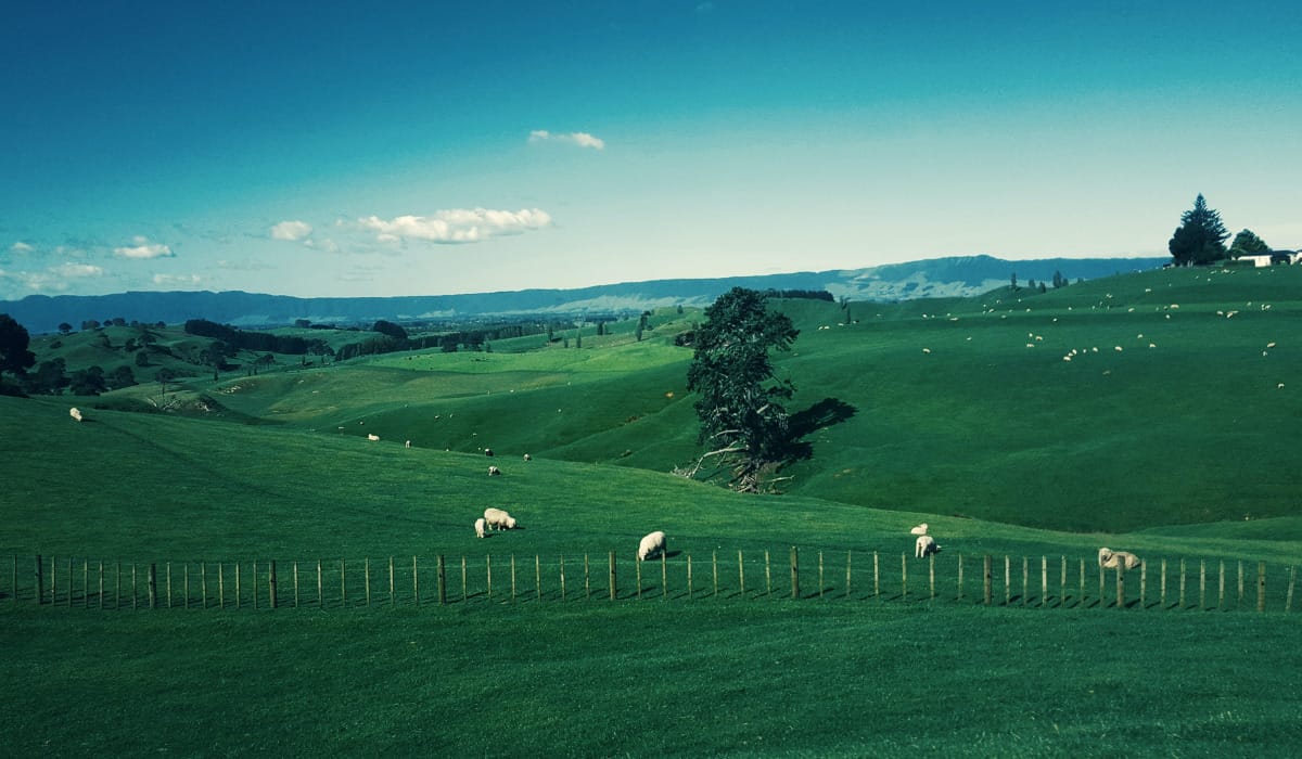Định cư New Zealand diện đầu tư lấy PR mới nhất