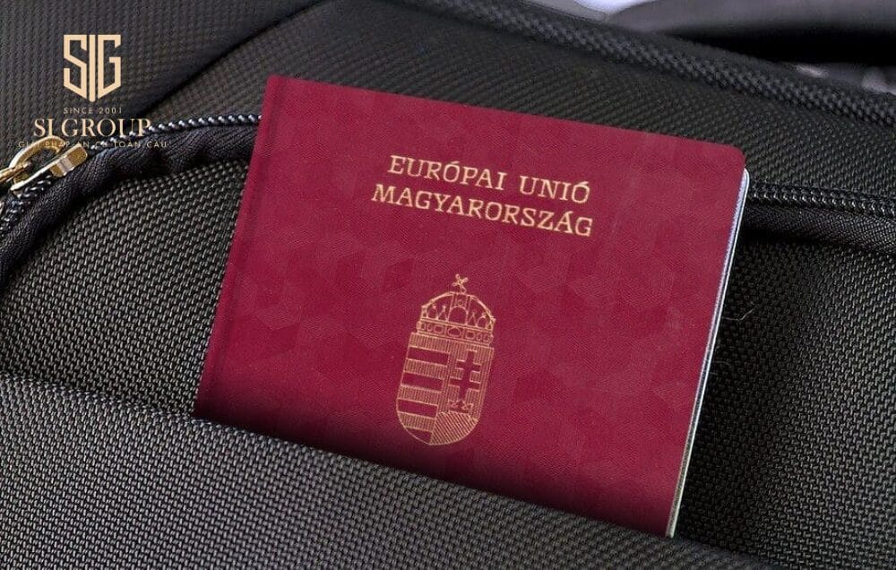 https://sigroup.vn/wp-content/uploads/2024/05/Khach-hang-MVH-nhan-quoc-tich-Montenegro.jpg