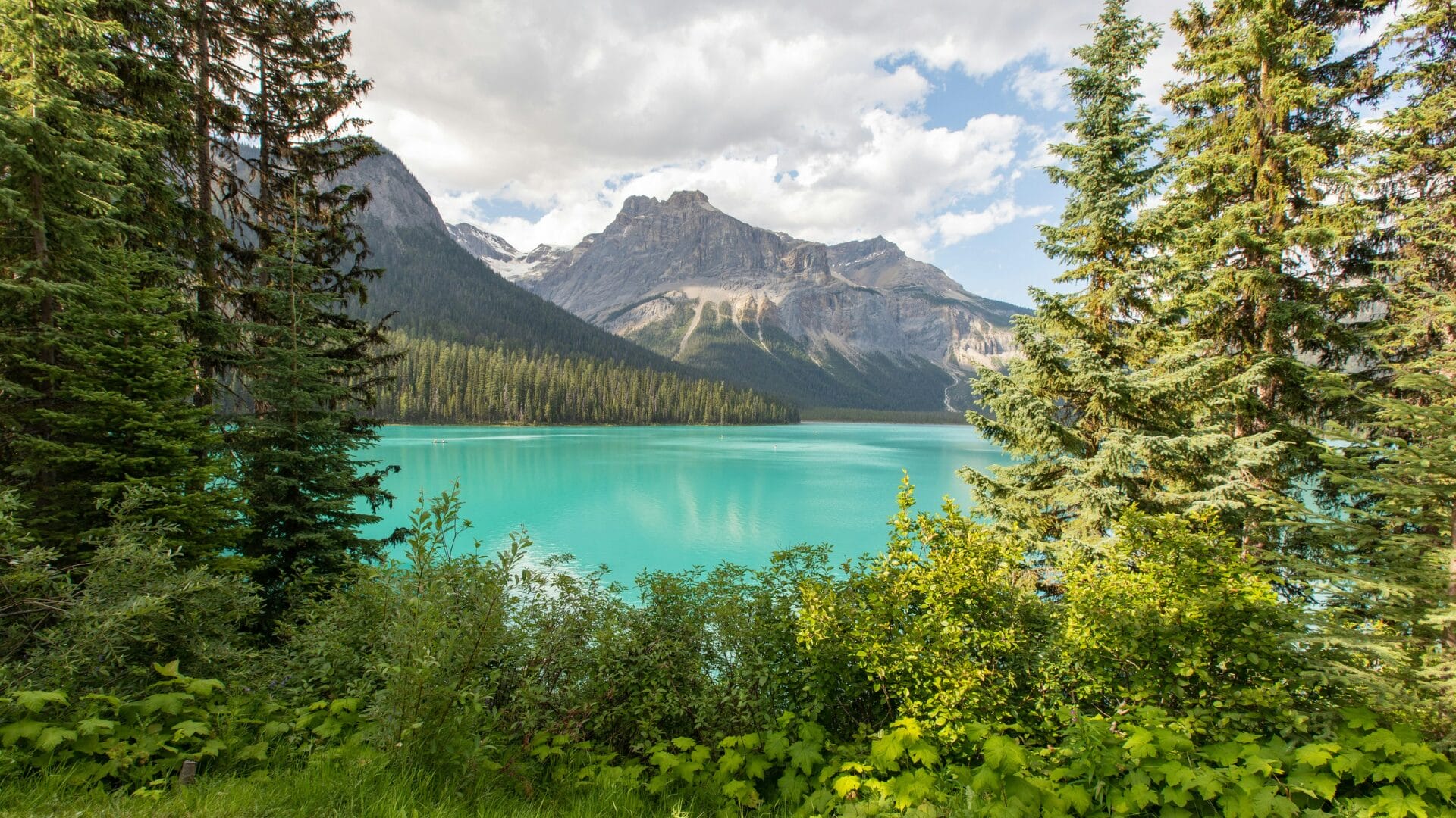 Hướng dẫn mới về Chương trình Đề cử Tỉnh bang Alberta năm 2024
