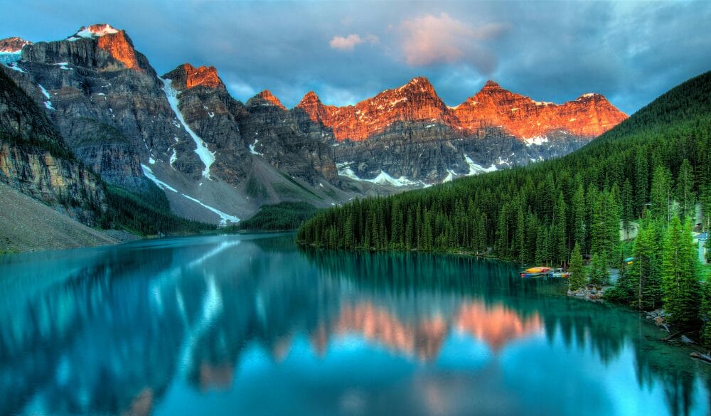 Chương trình Đề cử Tỉnh bang Alberta dành cho doanh nhân phổ biến bao gồm dòng Doanh nhân Tốt nghiệp và Doanh nhân Tốt nghiệp Nước ngoài