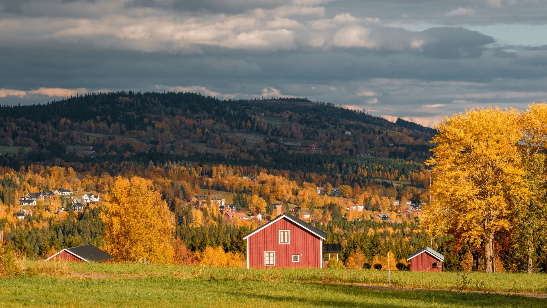 Chương trình định cư Canada RNIP (Rural Northern Immigration Pilot) là gì?