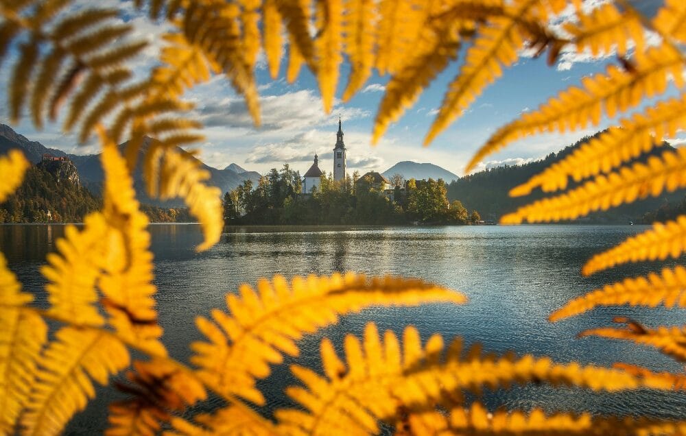 Chương trình sở hữu trực tiếp quốc tịch Slovenia – ĐỘC QUYỀN