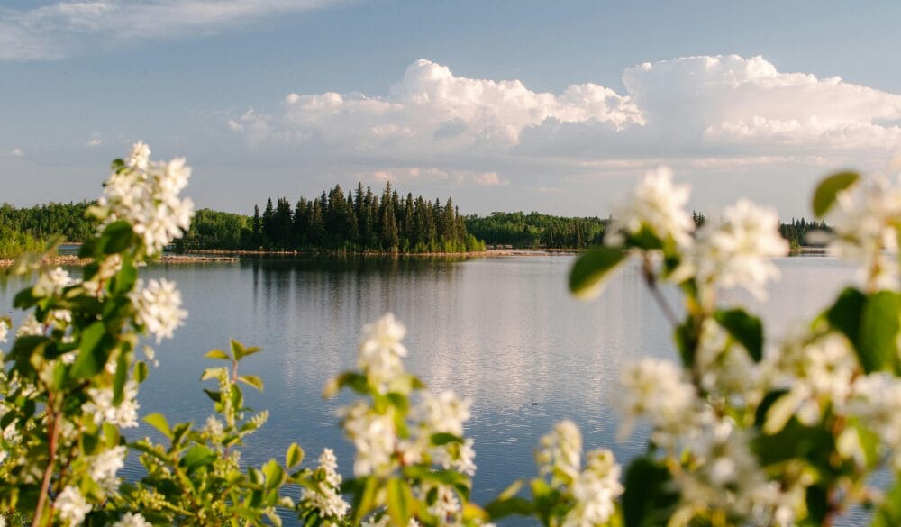 Alberta Advantage Immigration Program (AAIP) – Rural Renewal Stream (RRS)