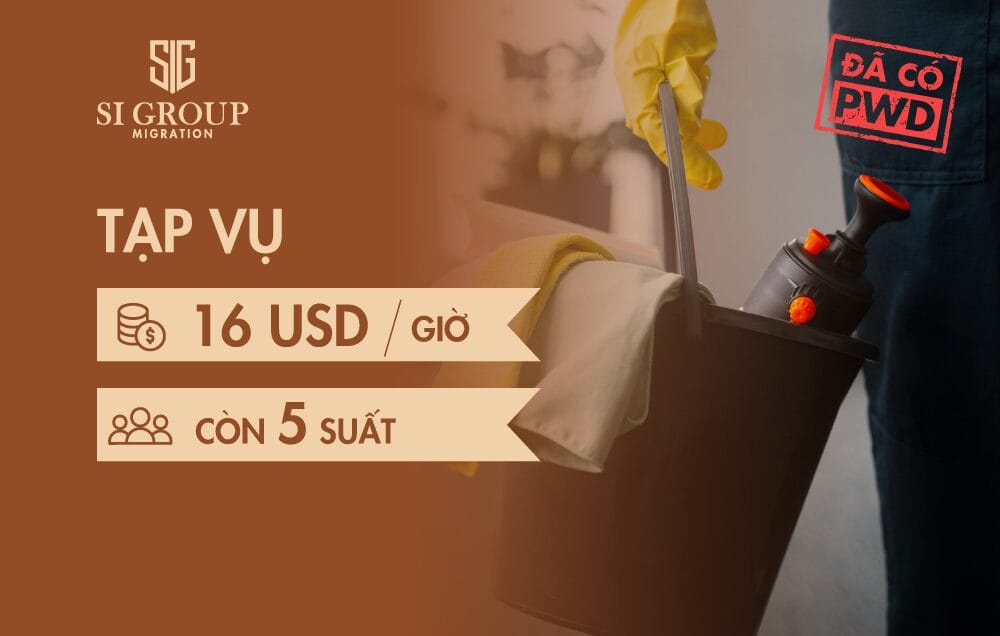 Nhân viên tạp vụ (Janitor)