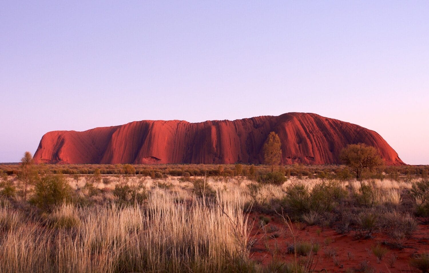 Tìm hiểu Chương trình DAMA Bắc Úc: Cập nhật thông tin mới nhất 2026