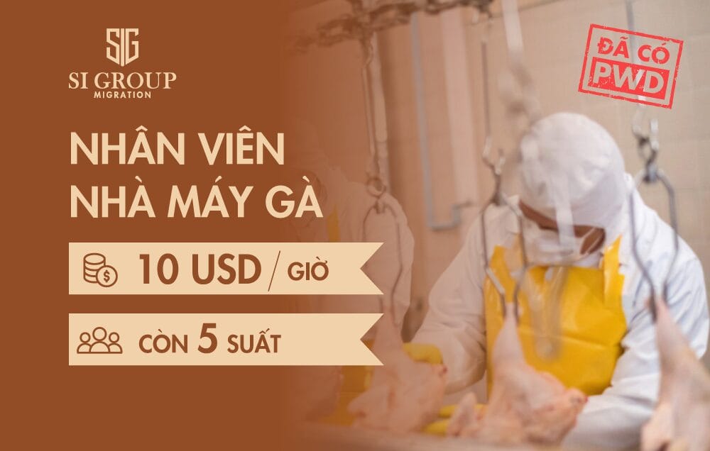 Nhân viên Chế biến Thịt gà