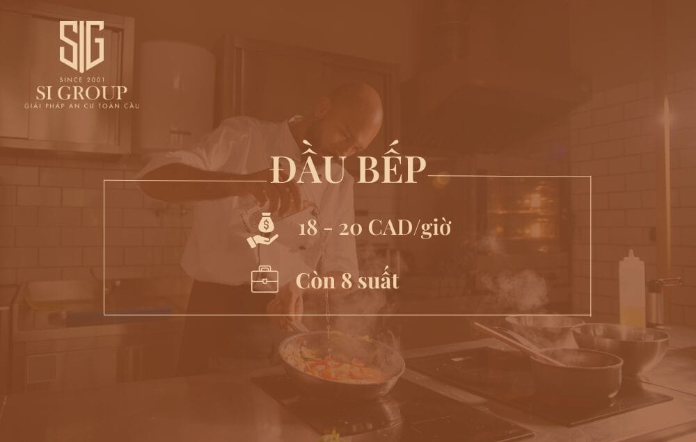 Đầu bếp (Cook/Chef/Executive Chef)