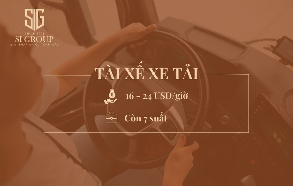 Tài xế xe tải (Truck Driver) 
