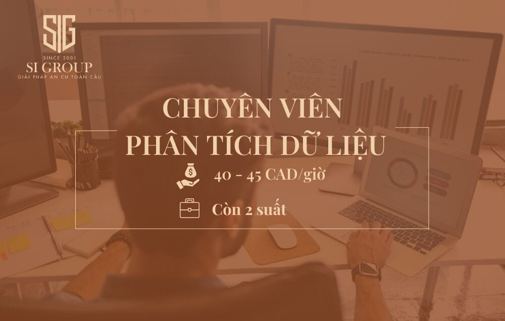 Chuyên viên phân tích dữ liệu (Data Analyst)
