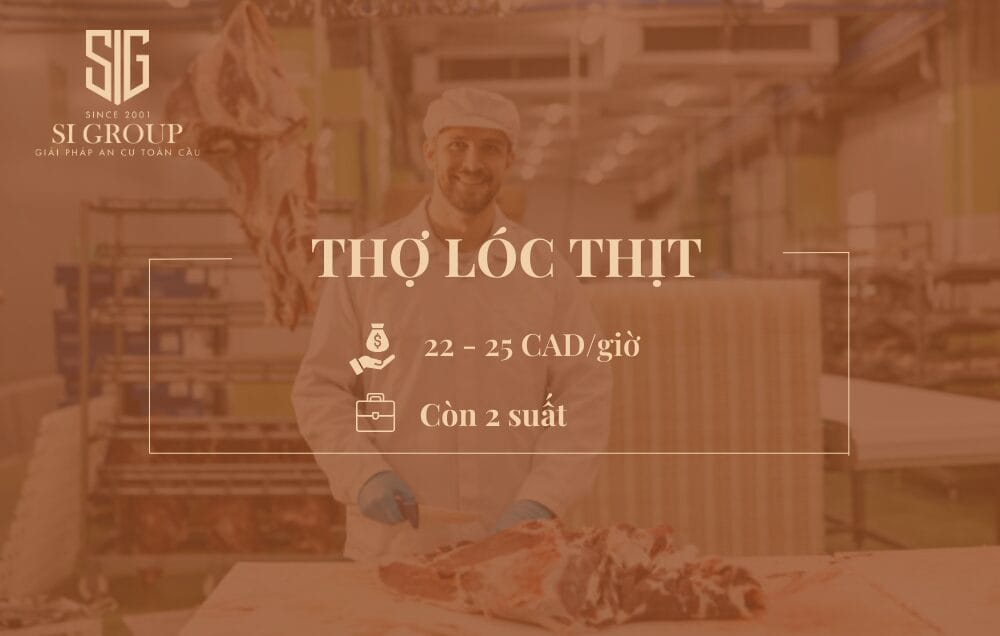Thợ lóc thịt (Butcher)