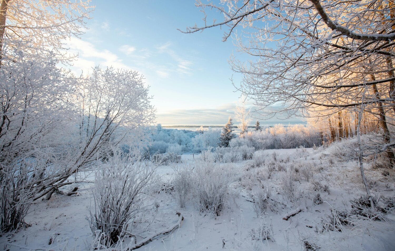 Tiểu bang nào lớn nhất nước Mỹ? Có diện tích bao nhiêu?
