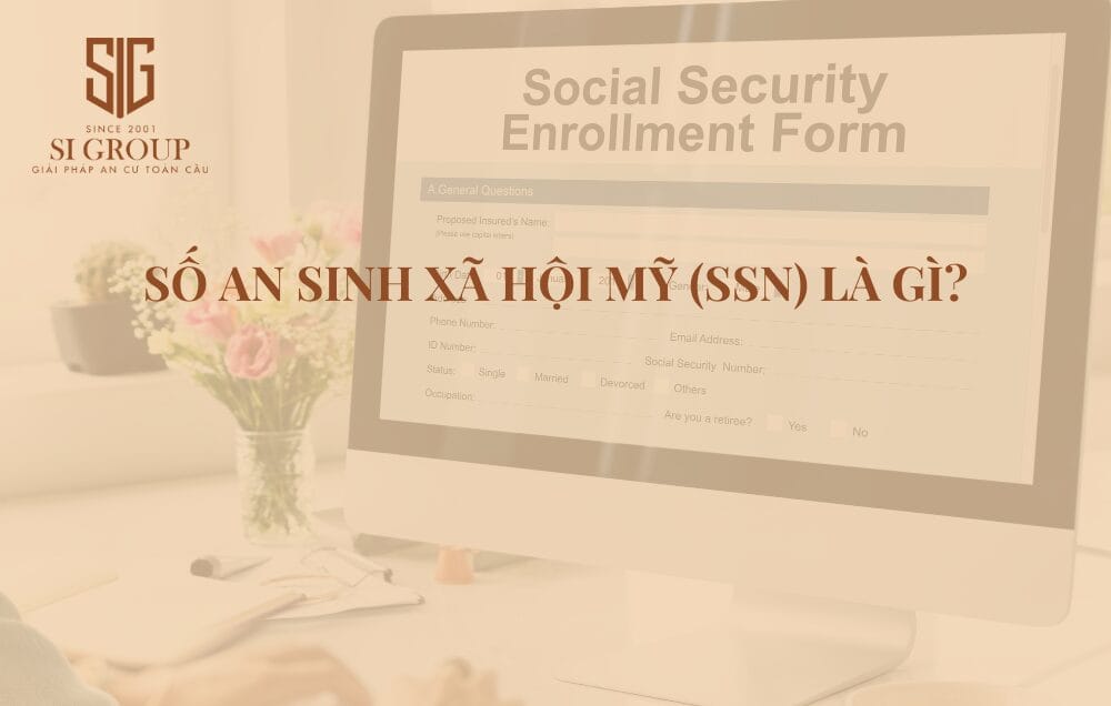 Số an sinh xã hội Mỹ (SSN): Quy trình & cách tra cứu cho người nhập cư