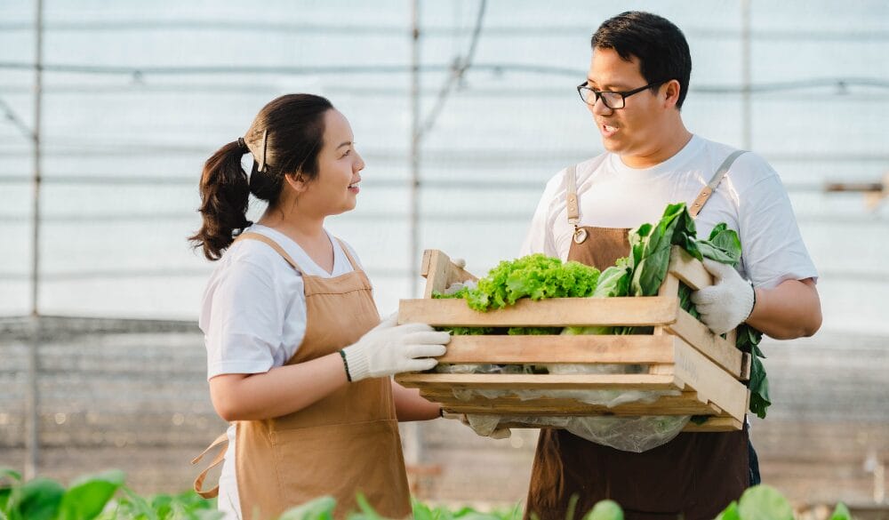 Úc áp dụng danh sách 456 nghề với Skills in Demand Visa và Visa 186 