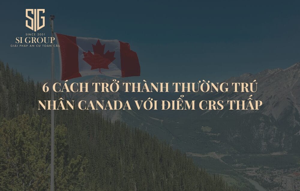 6 cách trở thành thường trú nhân Canada với điểm CRS thấp