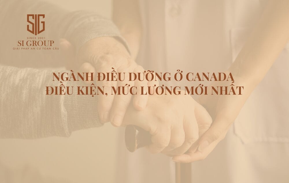 Tìm hiểu về ngành Điều dưỡng ở Canada: Điều kiện, mức lương mới nhất