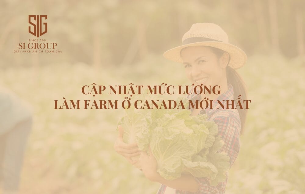 Cập nhật mức lương làm farm ở Canada mới nhất