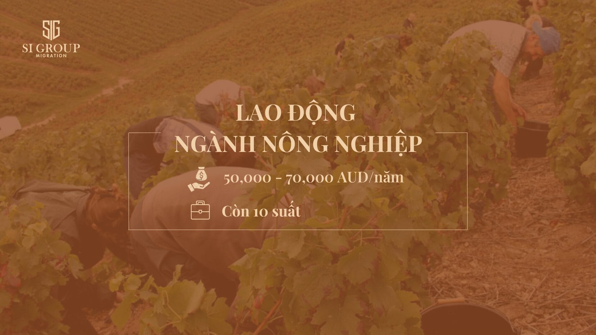 Lao động ngành nông nghiệp (Horticultural Worker)