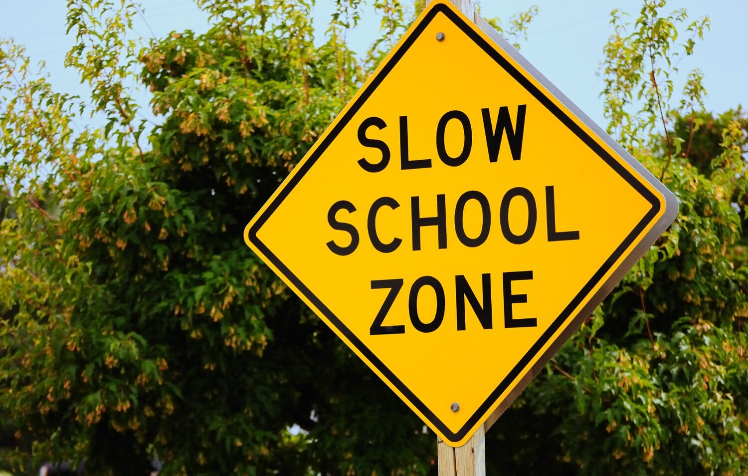 Mua nhà trong “school zone”: Lợi thế chiến lược đưa con thẳng tiến vào đại học G8 Úc